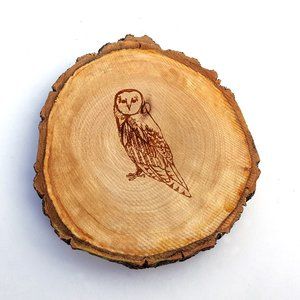 Barn Owl Tree Slice Coasters Set of 4 Rustic Decor